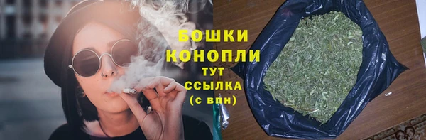 молекула духа Семилуки