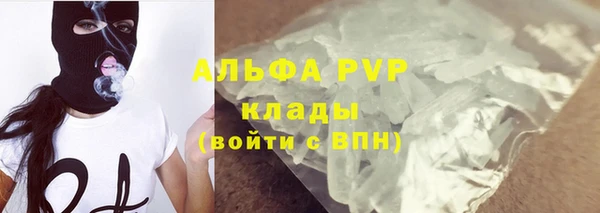 молекула духа Семилуки