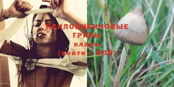 винт Баксан