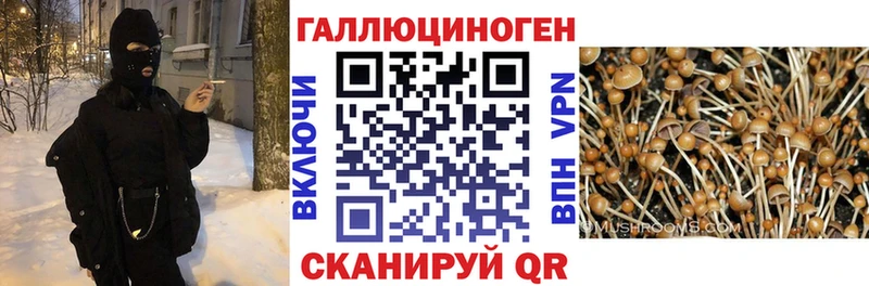 цена   Сорск  Галлюциногенные грибы Magic Shrooms 